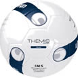 Мяч футбольный Themis Team