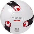 Мяч футбольный Themis Team